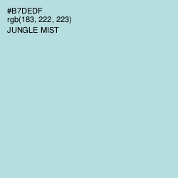 #B7DEDF - Jungle Mist Color Image